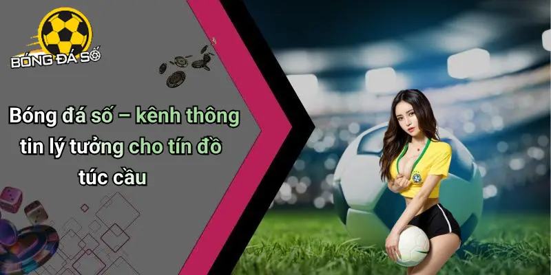 Tin Tức Bóng Đá