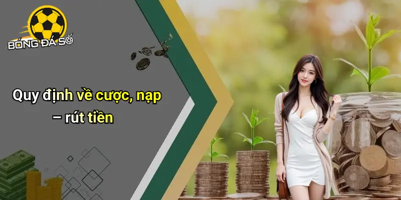 Điều Khoản Điều Kiện 3 Điều Khoản Điều Kiện