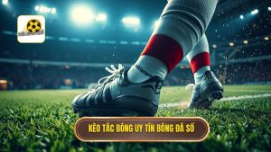 Kèo cược tổng số lần tắc bóng thành công